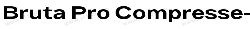 Bruta Pro Compresse字体转换